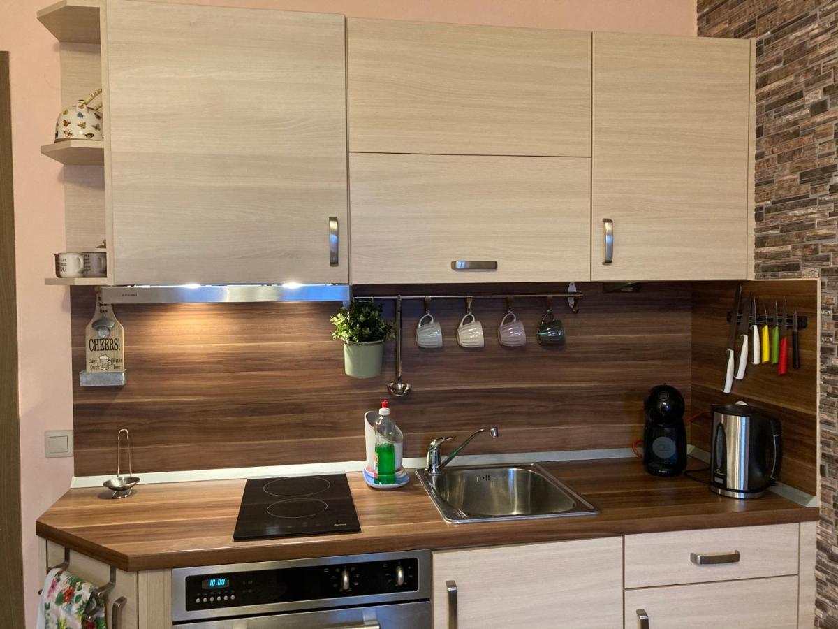 Mirabell Apartment Bansko - Mountain View & Fireplace Buitenkant foto