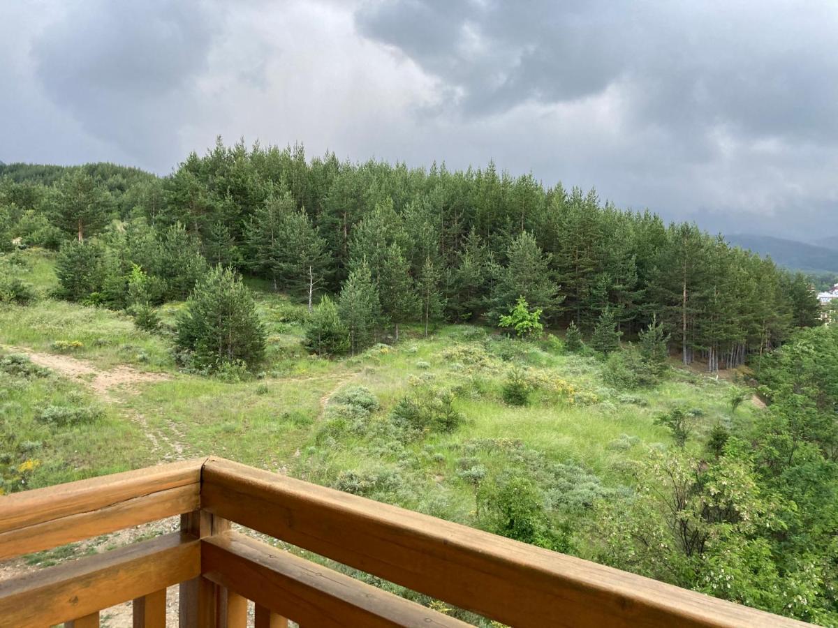 Mirabell Apartment Bansko - Mountain View & Fireplace Buitenkant foto