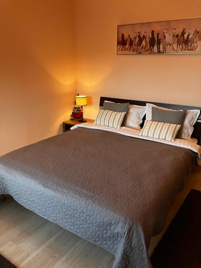Mirabell Apartment Bansko - Mountain View & Fireplace Buitenkant foto